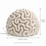 Reef Maze tabletop sculpture in Sand White: size view