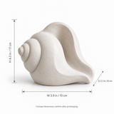 Conch tabletop sculpture in Shell White: size view
