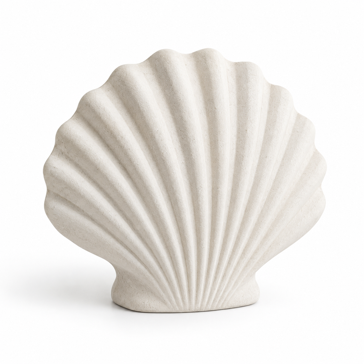 Scallop tabletop sculpture in Shell White: white view