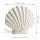 Scallop tabletop sculpture in Shell White: size view